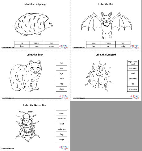 Label the hibernating animals worksheets