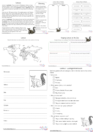 Lemur Project Pack