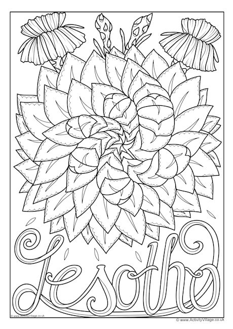 Lesotho national flower colouring page
