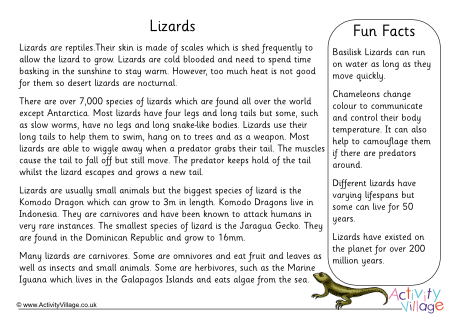 Lizard Fact Sheet