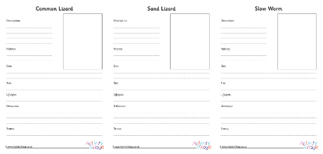 Lizards in UK Fact Finding Worksheet 