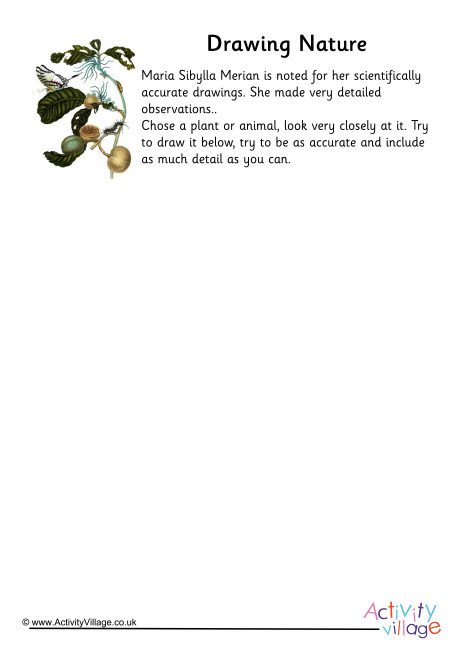 Maria Sibylla Merian Drawing Nature Worksheet