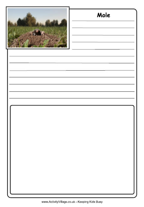 Mole notebooking page