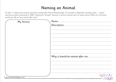 Naming an animal worksheet