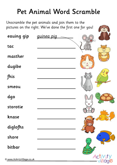 Pet Animal Word Scramble