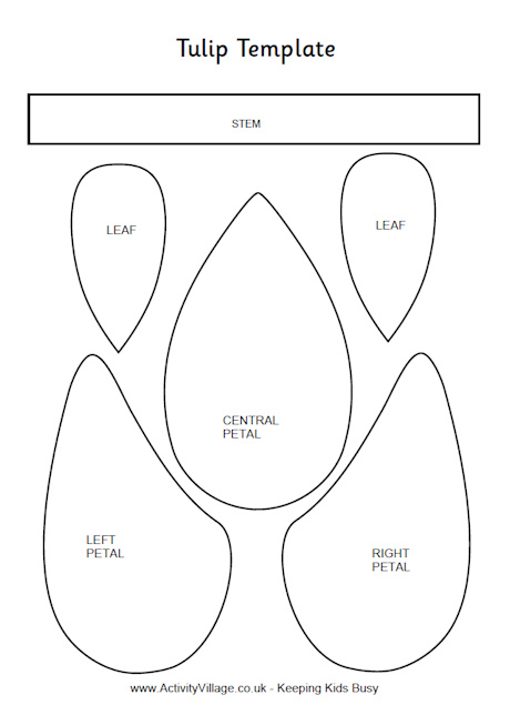 Photo tulip template