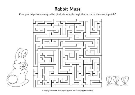 Rabbit maze