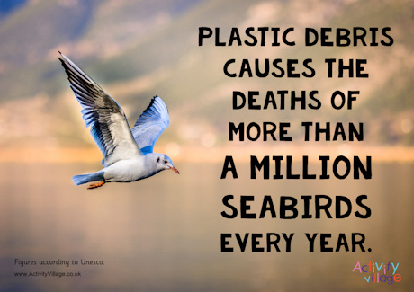 Seabirds poster