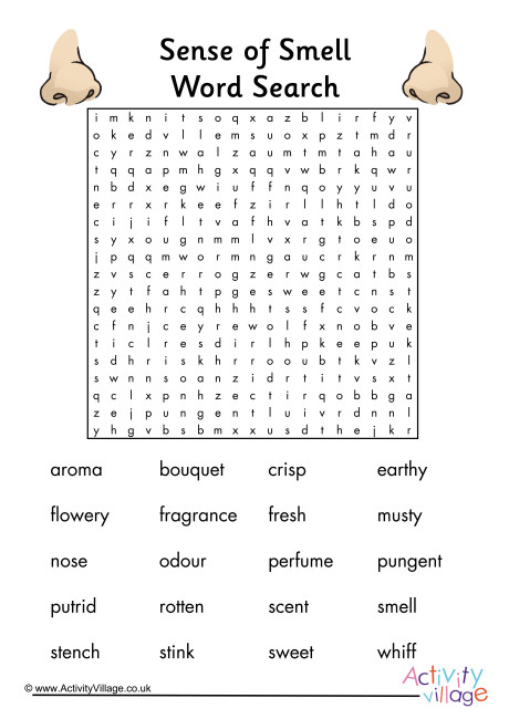 Sense Of Smell Word Search