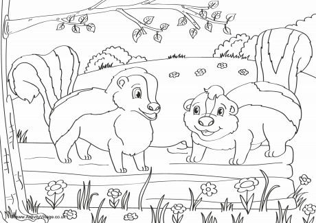 Skunks Scene Colouring Page