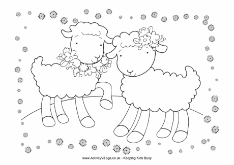Spring lambs colouring page