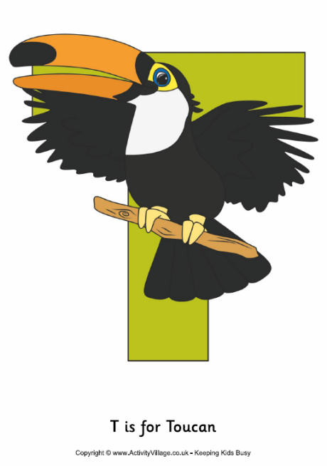 Download T is for Toucan Poster