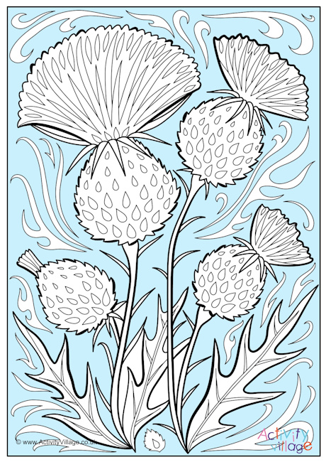 Thistle colour pop colouring page