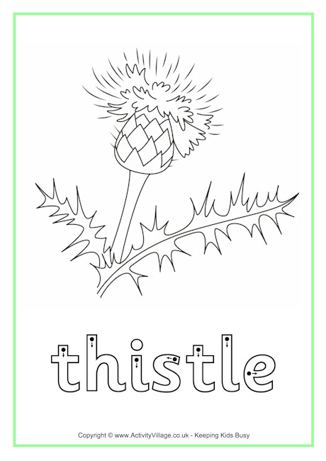 Thistle finger tracing