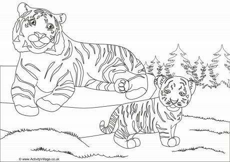 Tigers Scene Colouring Page