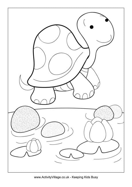 Tortoise Colouring Page