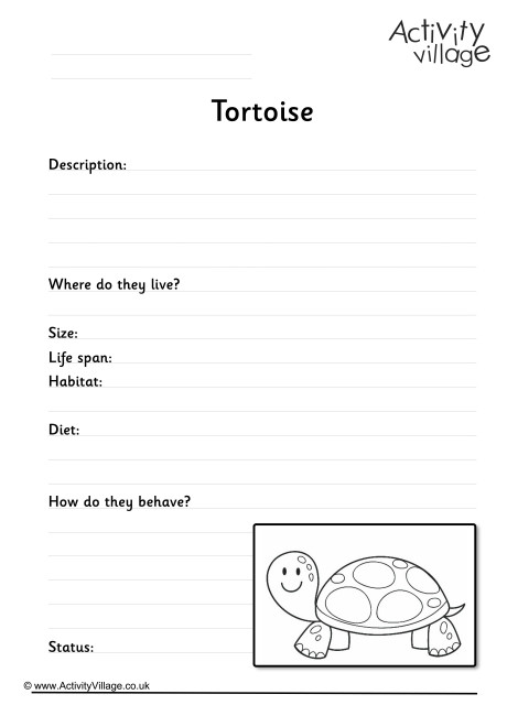 Tortoise Worksheet