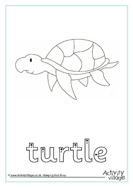 Turtle Finger Tracing