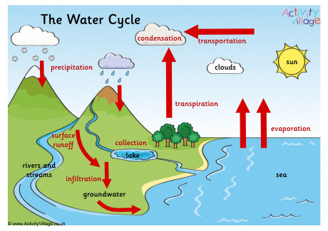 Diagram showing water cycle with rainfall and - Stock Illustration  [63020645] - PIXTA