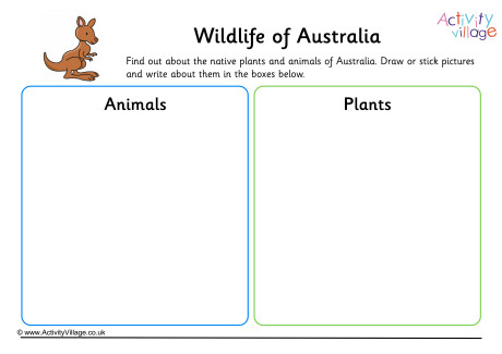 Wildlife Of Australia Worksheet
