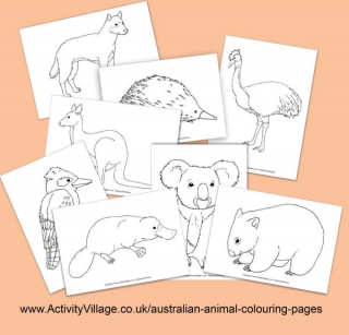 Australian Animal Colouring Pages