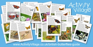 New British Butterflies Guide