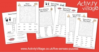New Puzzles For Our Five Senses Topic