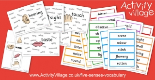 New Five Senses Vocabulary Resources