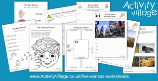 Five Senses Worksheets