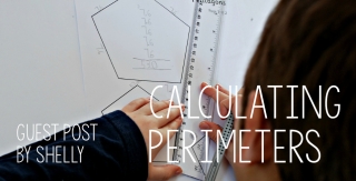 Guest Post - Calculating Perimeters