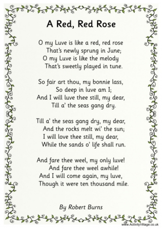 A Red Red Rose