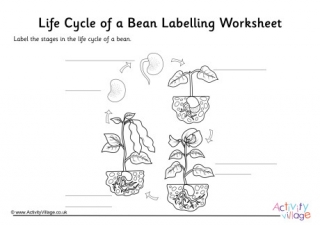 label parts of a bean