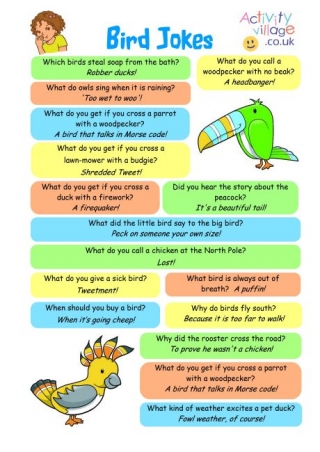 Bird Jokes Printable