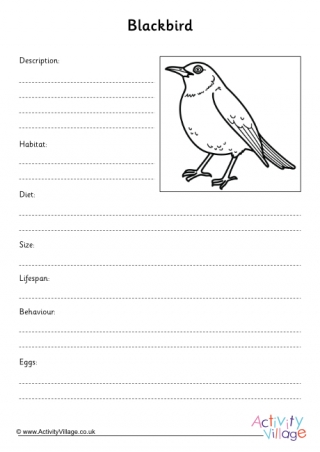 Blackbird Fact Finding Worksheet