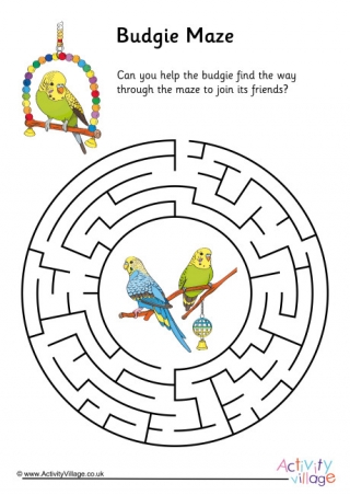 Budgie Maze 2