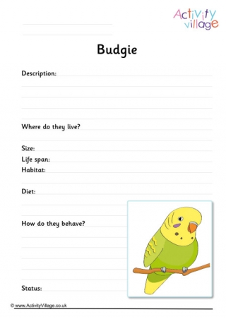 Budgie Worksheet