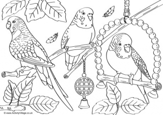 pet animal colouring pages