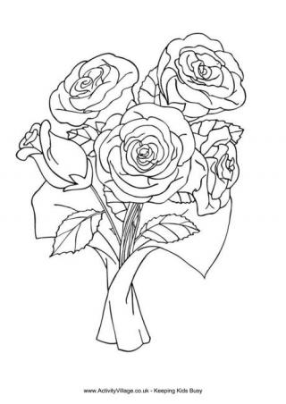 rose colouring pages