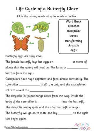 Butterfly Life Cycle Cloze