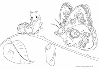 44 Top Coloring Pages Of A Butterfly Life Cycle  Images