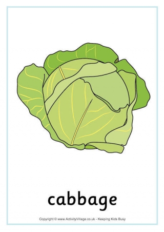 Cabbage Poster