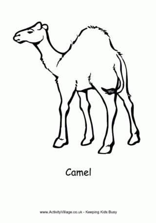 Plastic Camel Drawing Kit, Packaging Type: Packet at best price in Pune