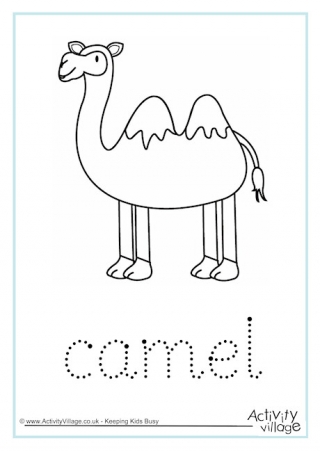 Camel Word Tracing