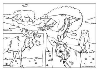 Canada Colouring Pages