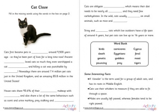 Cat Cloze