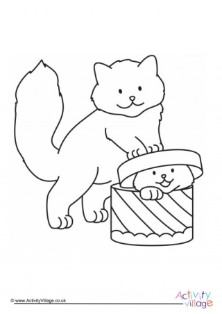 Cat Colouring Pages