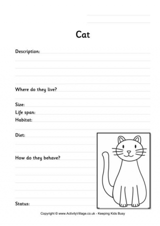 Cat Worksheet