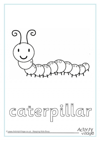 Caterpillars