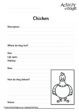 Chicken Worksheet