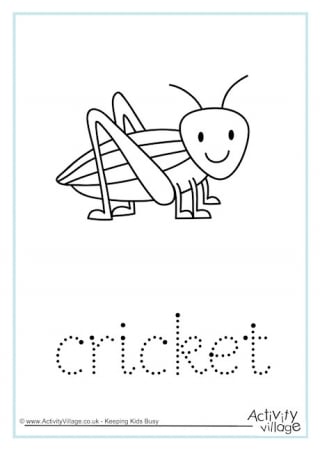Cricket Word Tracing